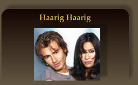 Haarig Haarig